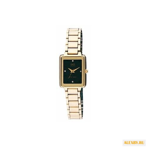Наручные часы Q&Q Q209 J002