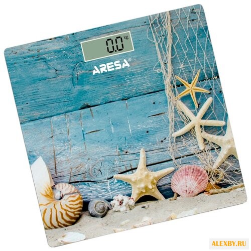 Весы ARESA SB-313
