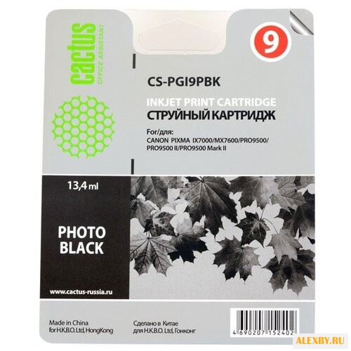 Картридж cactus CS-PGI9PBK