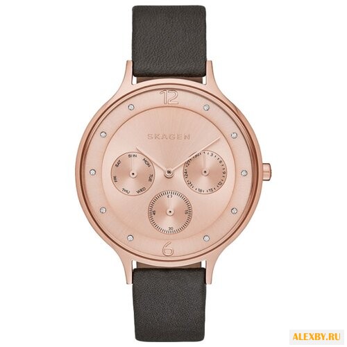 Наручные часы SKAGEN SKW2392