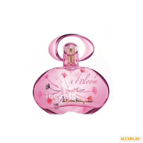 Salvatore Ferragamo Incanto