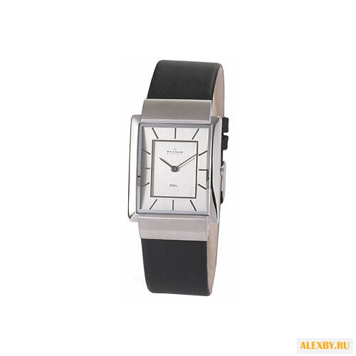 Наручные часы SKAGEN 224LSL