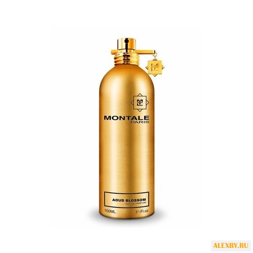 MONTALE Aoud Blossom