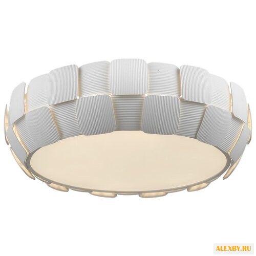 Divinare Beata 1317 01 PL-6