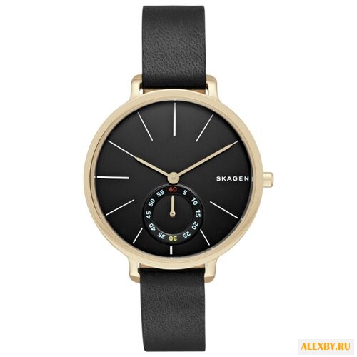 Наручные часы SKAGEN SKW2354