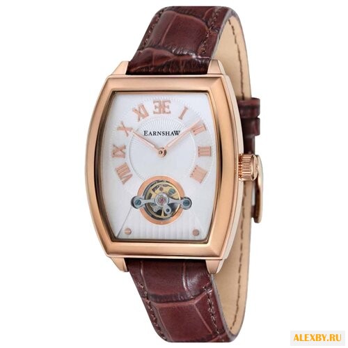 Наручные часы EARNSHAW ES-8044-04