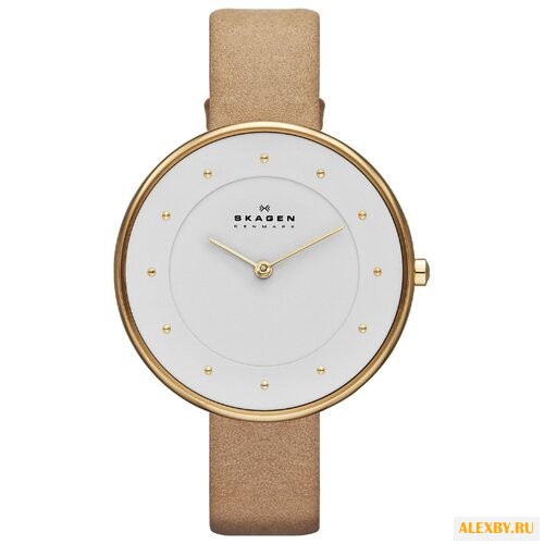 Наручные часы SKAGEN SKW2137