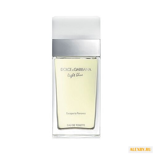 DOLCE & GABBANA Light Blue