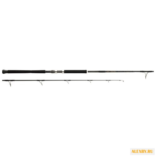 Удилище спиннинговое Tenryu