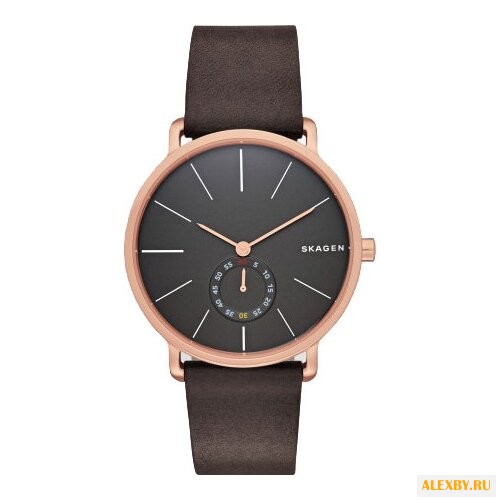 Наручные часы SKAGEN SKW6213