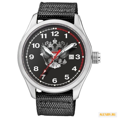 Наручные часы СПЕЦНАЗ С2861318-09