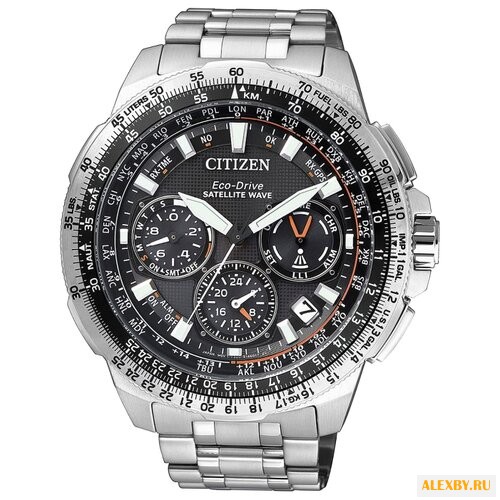 Наручные часы CITIZEN CC9020-54E