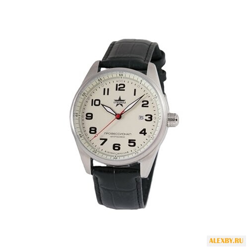 Наручные часы СПЕЦНАЗ С9370269