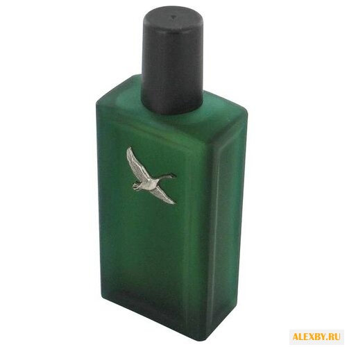 Eddie Bauer Adventurer