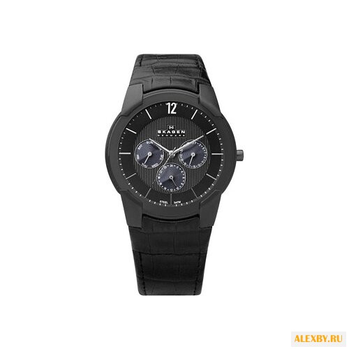 Наручные часы SKAGEN 856XLBLB