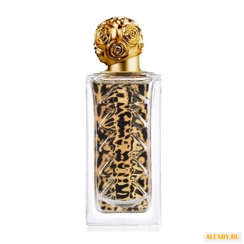 Salvador Dali Dali Wild