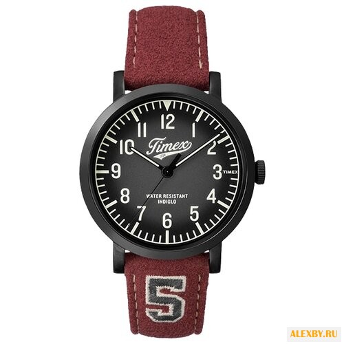 Наручные часы TIMEX TW2P83200