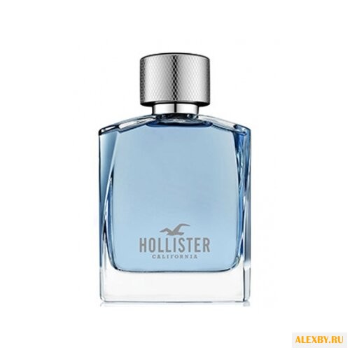 Hollister Hollister Wave For Him