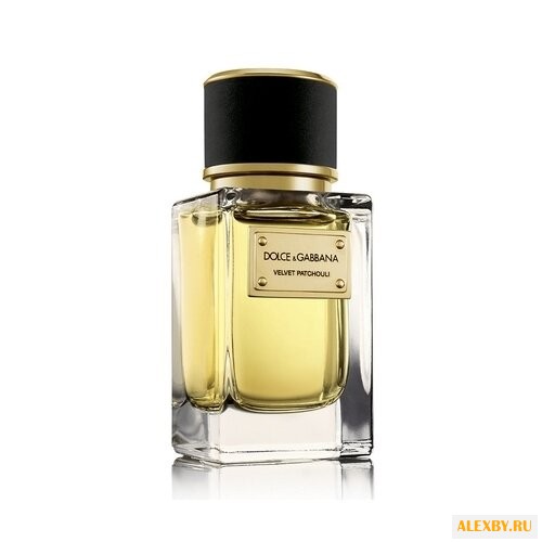 DOLCE & GABBANA Velvet Patchouli
