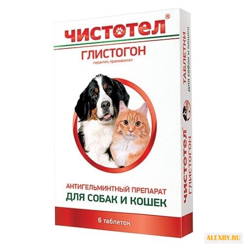ЧИСТОТЕЛ Глистогон таблетки для