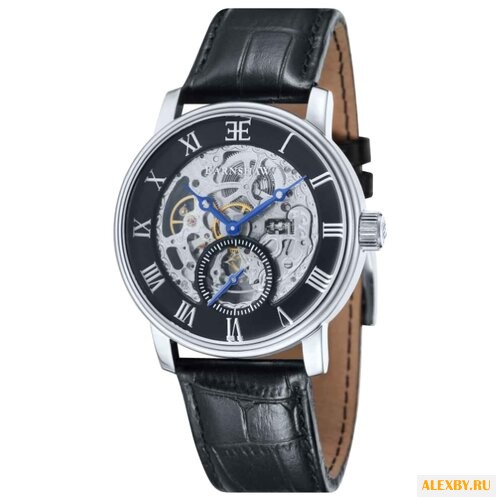 Наручные часы EARNSHAW ES-8041-01