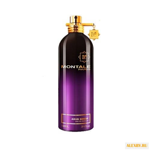 MONTALE Aoud Sense