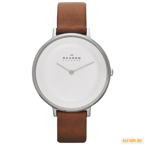 Наручные часы SKAGEN SKW2214