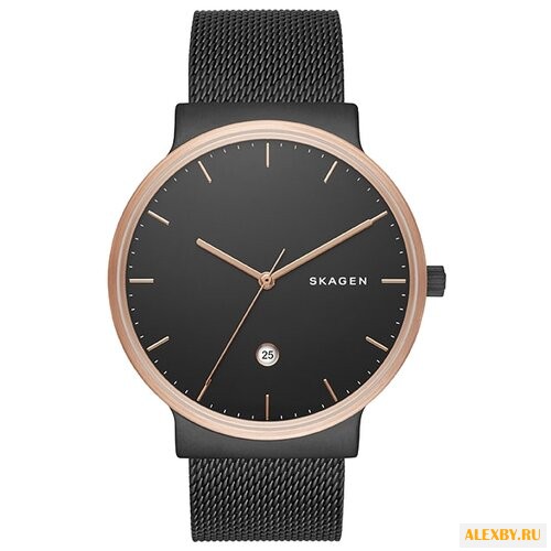 Наручные часы SKAGEN SKW6296