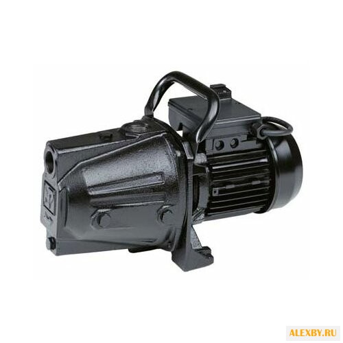 Насос Flotec Gardenjet 1000