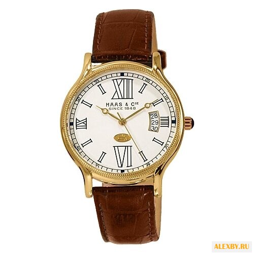Наручные часы Haas BKH420XWA