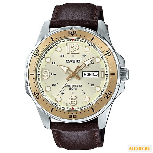 Наручные часы CASIO MTD-100L-9A