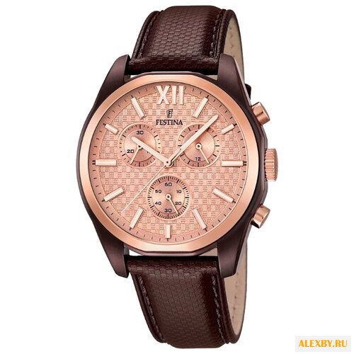 Наручные часы FESTINA F16863 1