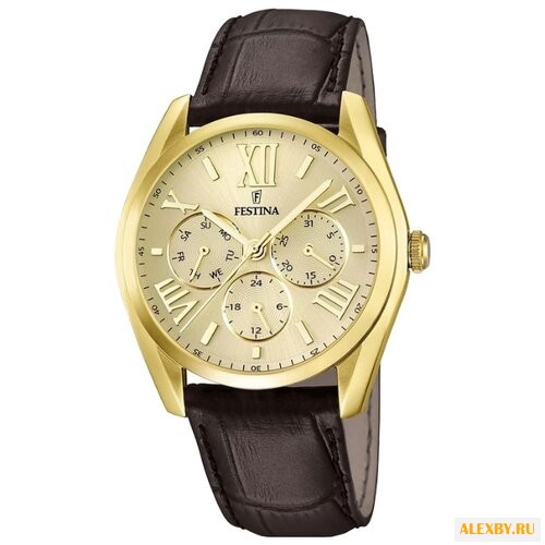 Наручные часы FESTINA F16753 2