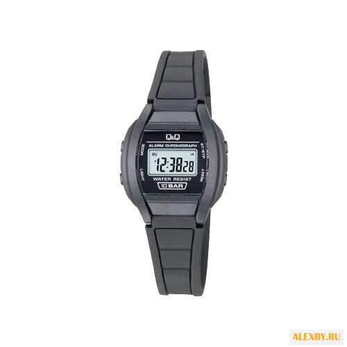 Наручные часы Q&Q LL01-101