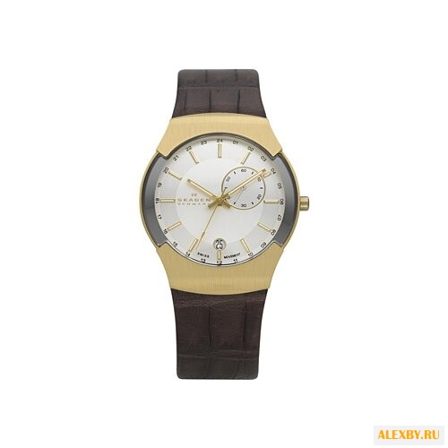 Наручные часы SKAGEN 983XLGLD