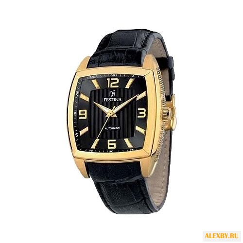 Наручные часы FESTINA F6754 B
