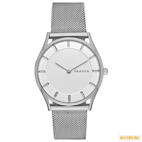 Наручные часы SKAGEN SKW2342