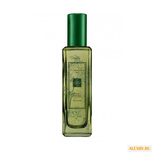 Jo Malone Carrot Blossom & Fennel