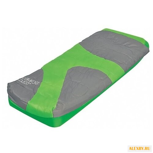 Надувной матрас Bestway Aslepa