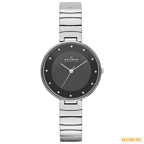 Наручные часы SKAGEN SKW2225