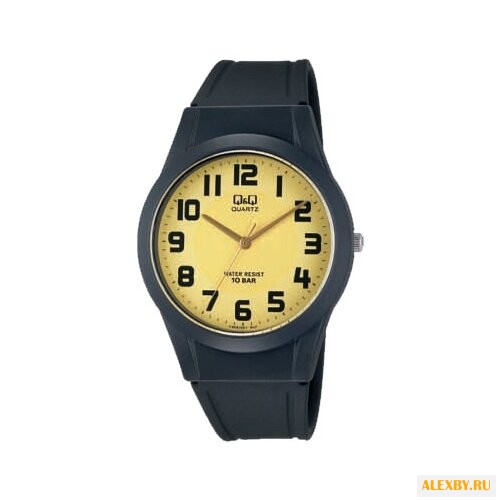Наручные часы Q&Q VQ50 J001