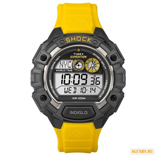 Наручные часы TIMEX T49974