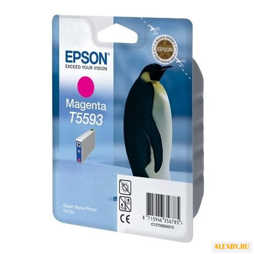 Картридж Epson C13T55934010