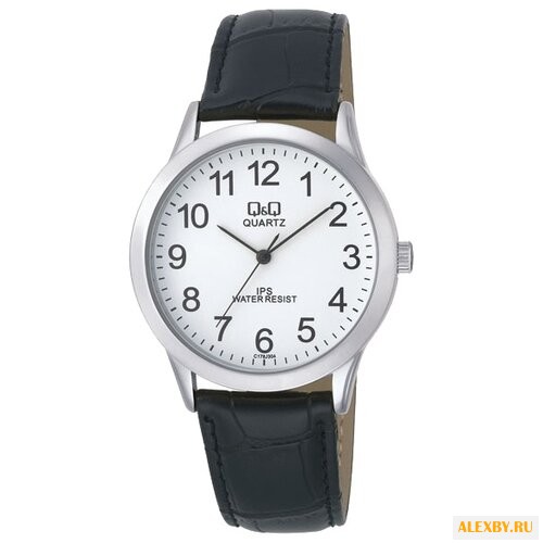 Наручные часы Q&Q C178-304