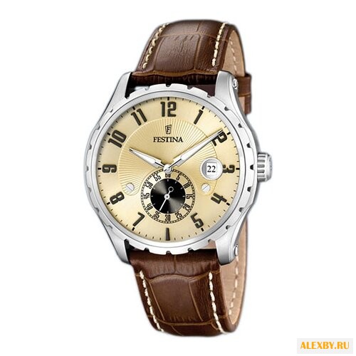 Наручные часы FESTINA F16486 2