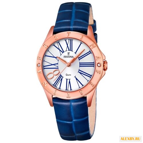 Наручные часы FESTINA F16930 1