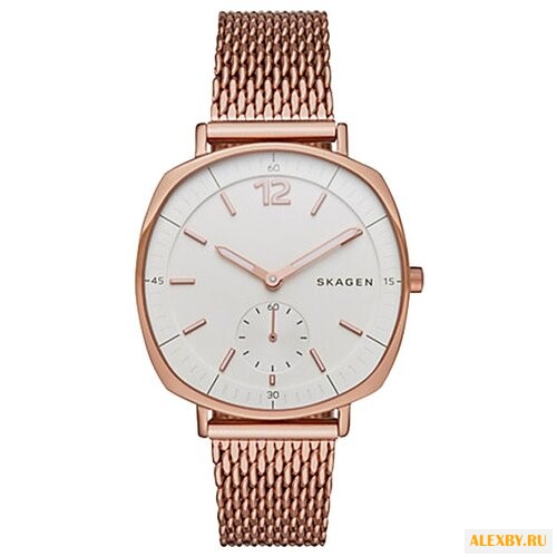 Наручные часы SKAGEN SKW2401