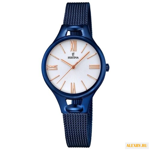 Наручные часы FESTINA F16953 1