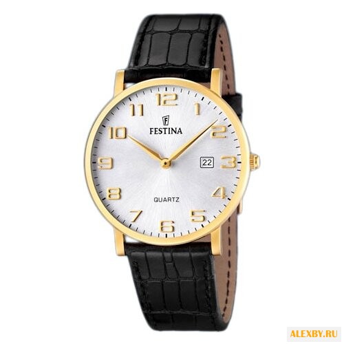 Наручные часы FESTINA F16478 2