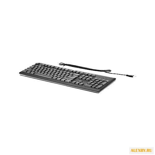 Клавиатура HP QY776AA Black USB
